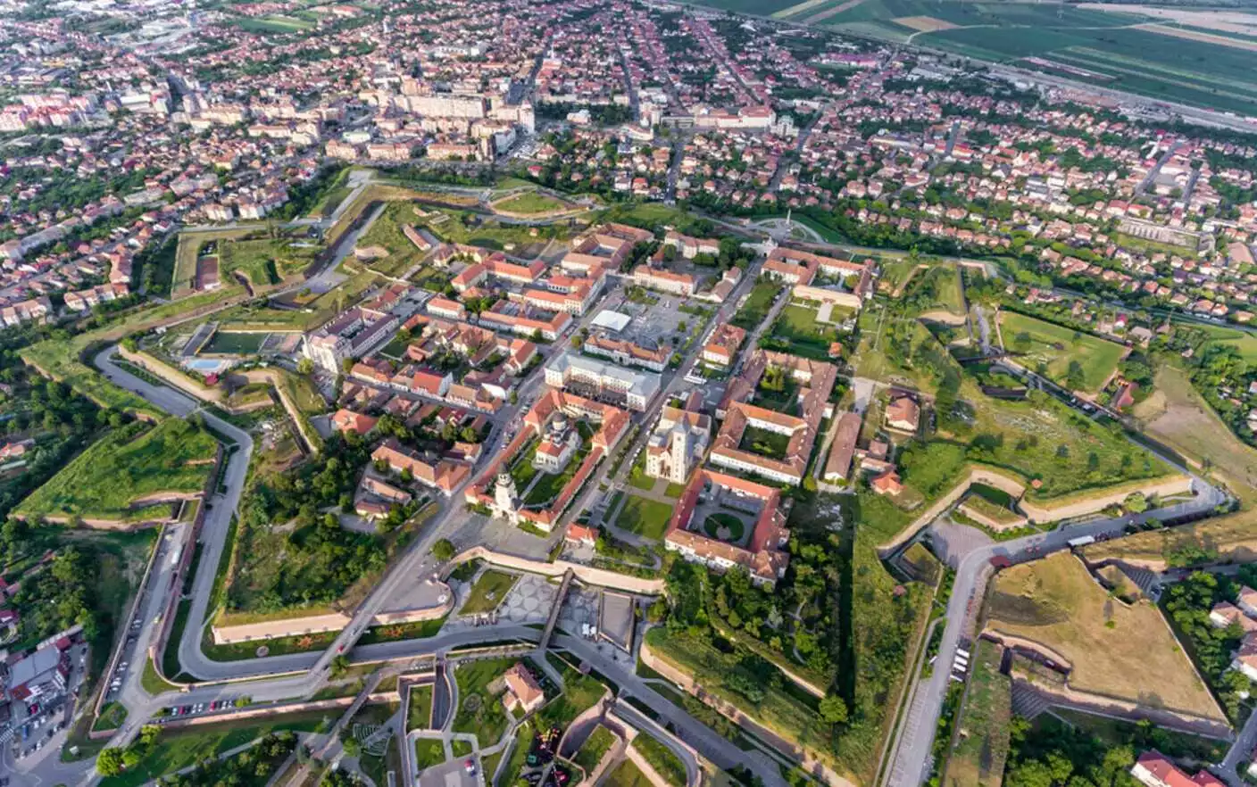 Ocuvit în Alba Iulia: beneficii și unde să-l găsești