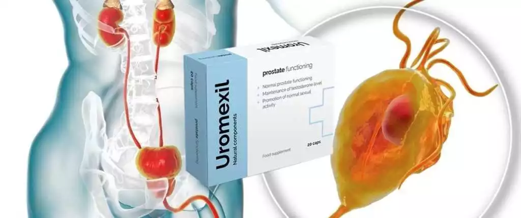 Uromexil în Oradea: soluția eficientă pentru problemele vezicii urinare